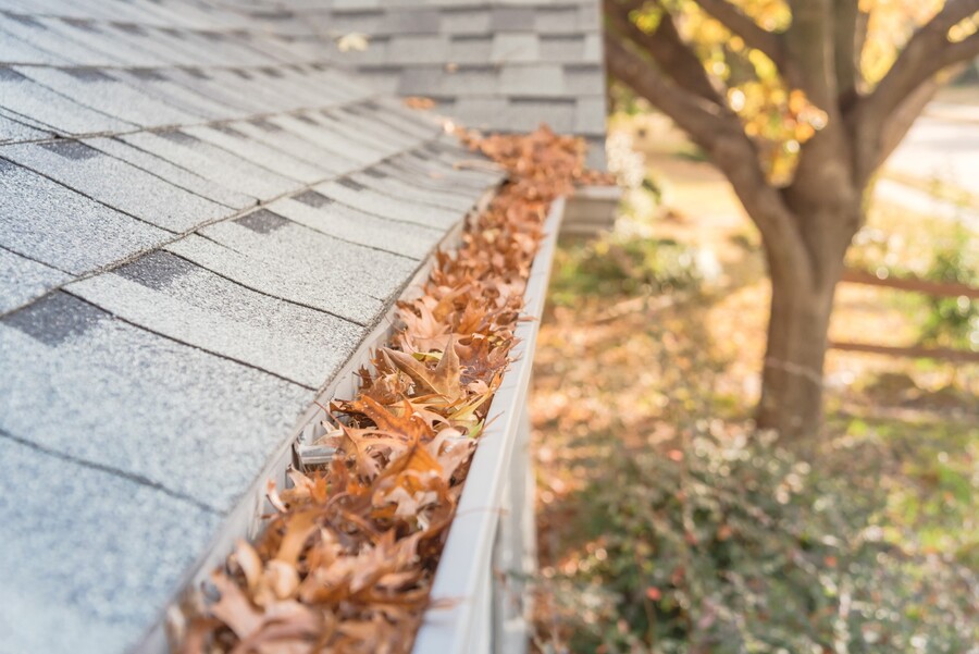  Gutter Cleaning by Capital Trust Home Services Company